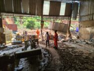 {{brizy_dc_image_alt entityId=