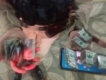 {{brizy_dc_image_alt entityId=