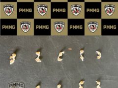 {{brizy_dc_image_alt entityId=