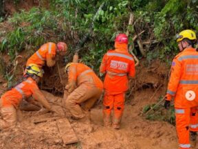 {{brizy_dc_image_alt entityId=