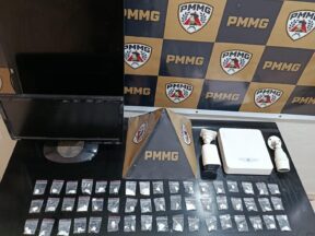 {{brizy_dc_image_alt entityId=