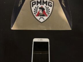 {{brizy_dc_image_alt entityId=