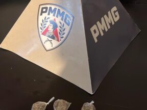 {{brizy_dc_image_alt entityId=