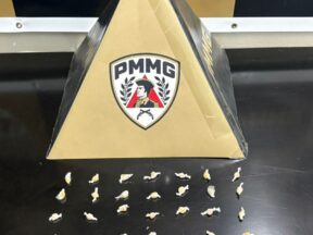 {{brizy_dc_image_alt entityId=