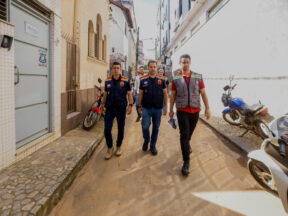 {{brizy_dc_image_alt entityId=