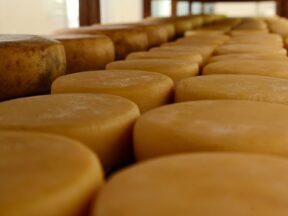 {{brizy_dc_image_alt entityId=