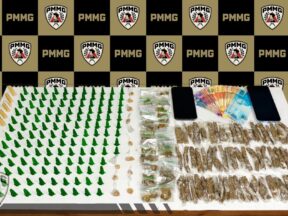 {{brizy_dc_image_alt entityId=