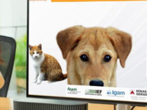 {{brizy_dc_image_alt entityId=