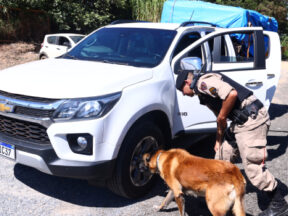 {{brizy_dc_image_alt entityId=