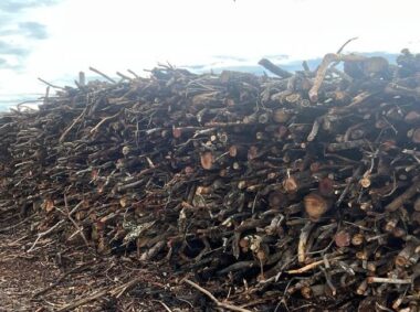 {{brizy_dc_image_alt entityId=