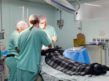 {{brizy_dc_image_alt entityId=