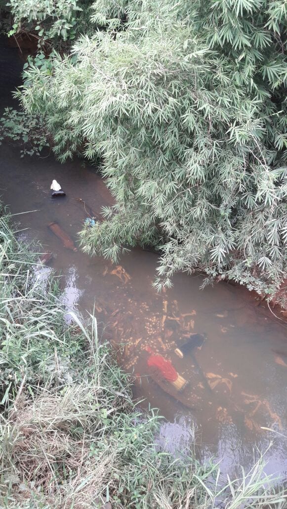 IMAGENS DE SANTOS CATÓLICOS SÃO ENCONTRADAS DENTRO DE RIO EM PORTO FIRME