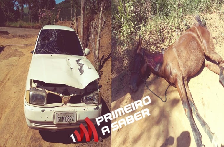 CONDUTOR BATE COM CARRO EM ÉGUA NA ZONA RURAL DE ERVÁLIA