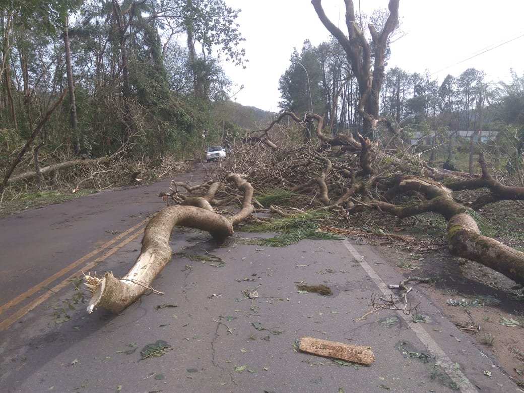 Fortes chuvas nessa noite em Viçosa e região destroem carros e casas