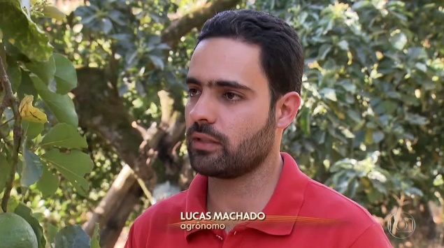 Ex-aluno da UFV é entrevistado pelo Globo Rural sobre pragas no abacateiro