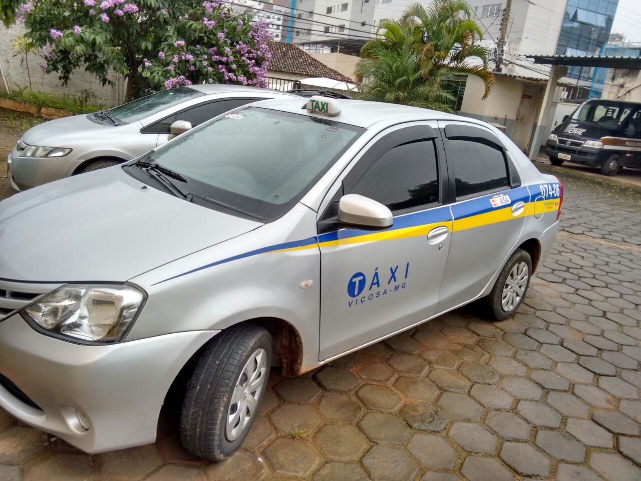 Táxi roubado em Viçosa é encontrado incendiado em São Geraldo