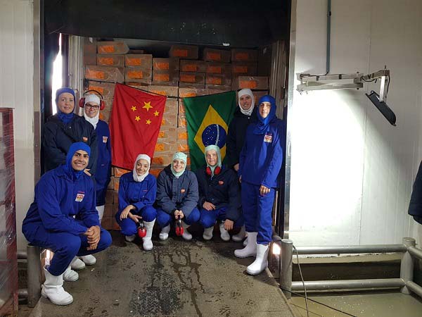 Pif Paf realiza primeiro embarque de frangos para a China