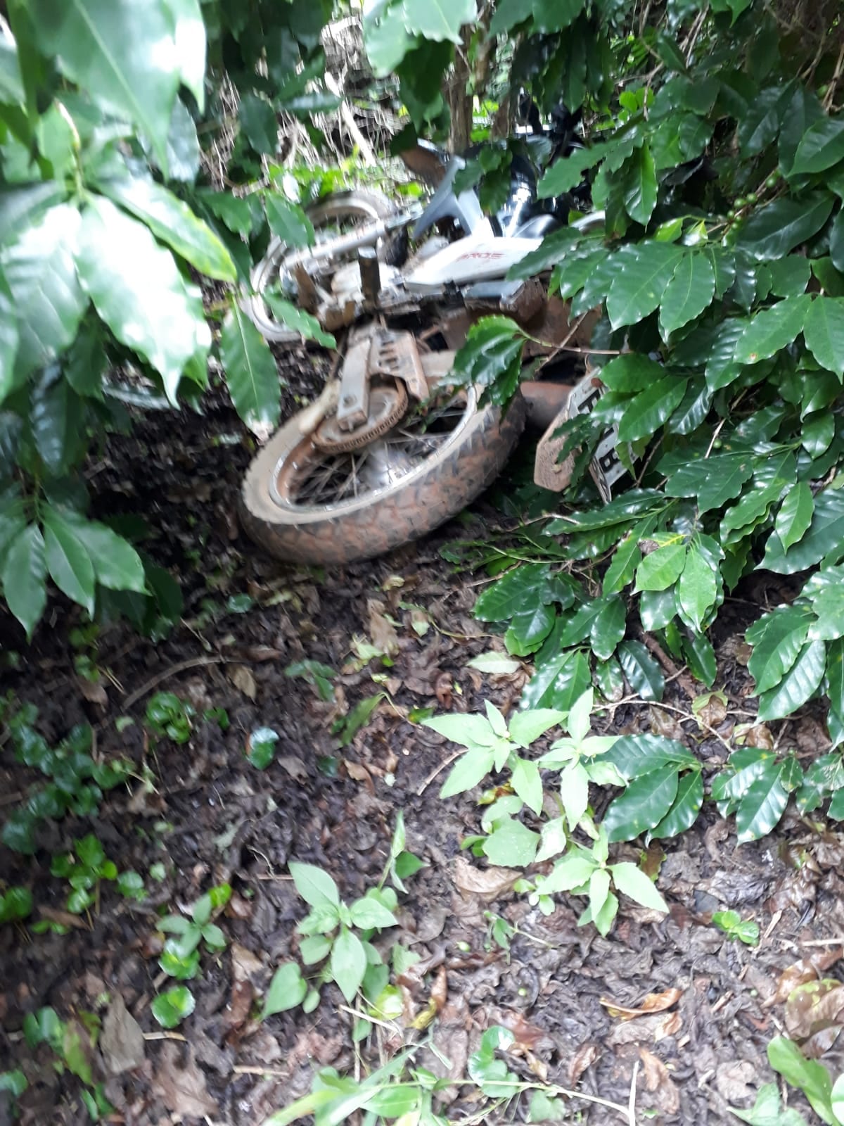 Motocicleta roubada é localizada em Ervália