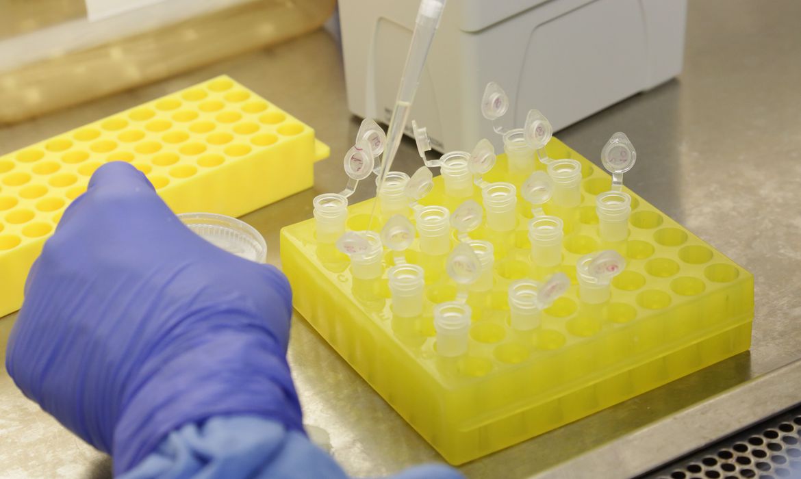 Vacina da Pfizer contra o coronavírus deve estar pronta para caráter emergencial em outubro
