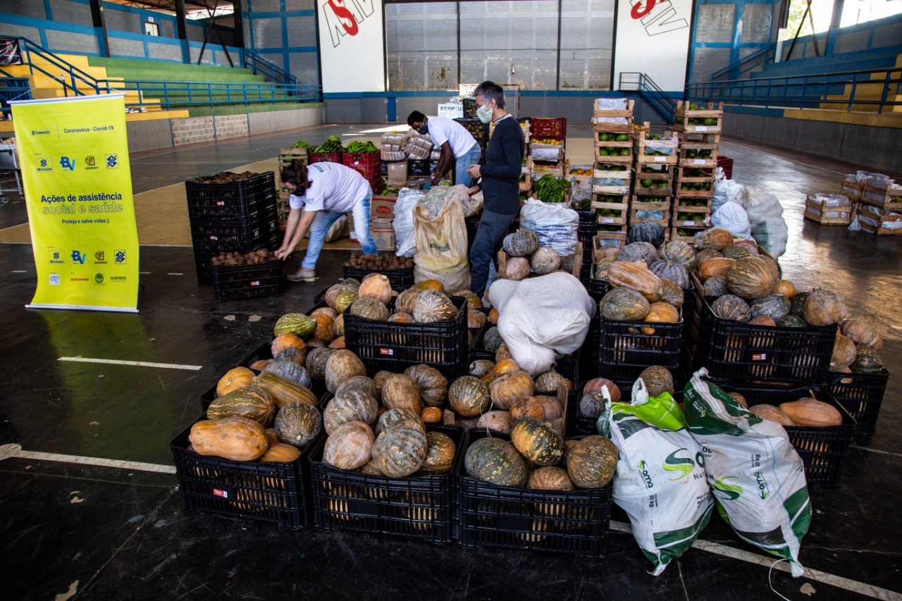 Fundação Banco do Brasil e CTA-ZM distribuem 21 toneladas de alimentos agroecológicos em Viçosa (MG)