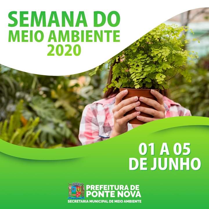 Prefeitura de Ponte Nova realiza doações de mudas na Semana do Meio Ambiente