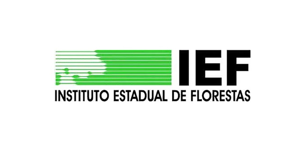 IEF abre 265 vagas para brigadistas florestais com salário de R$ 1.358,50