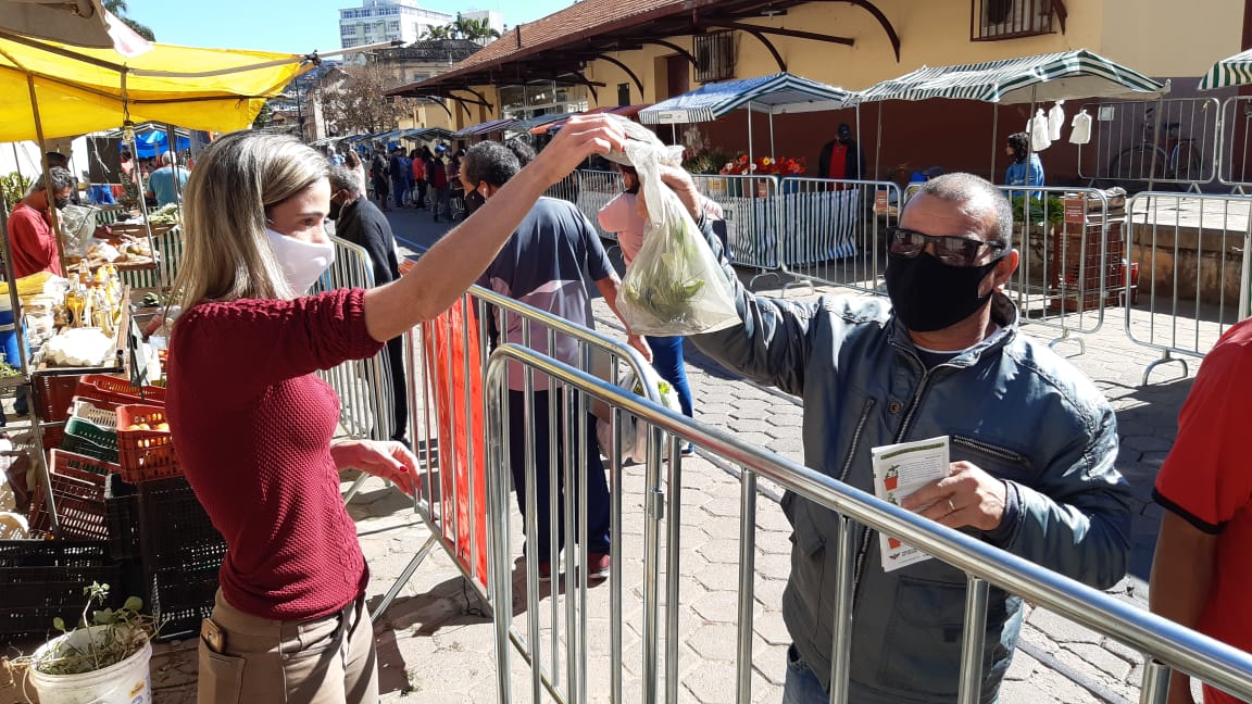 Projeto incentiva cultivo de horta em casa durante a pandemia