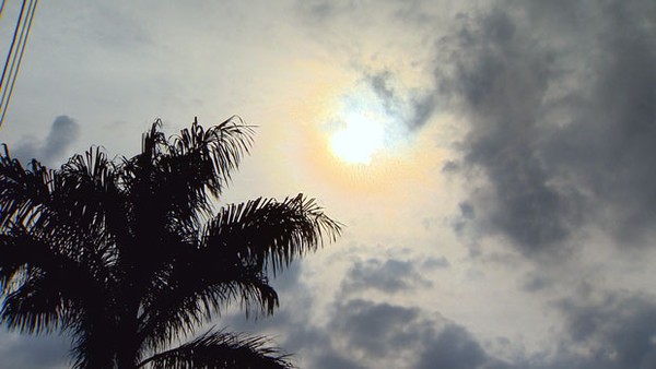 Queda na umidade relativa do ar marca a semana na Zona da Mata