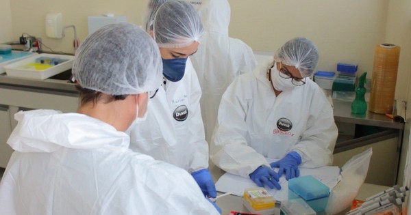 Cerca de 70% dos casos positivos para Covid-19 em Minas são de testes rápidos, aponta boletim do estado