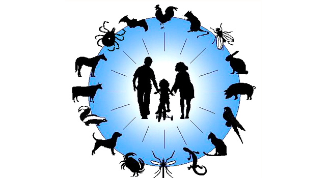 Vereadora acompanha o desenvolvimento do Centro de Zoonoses