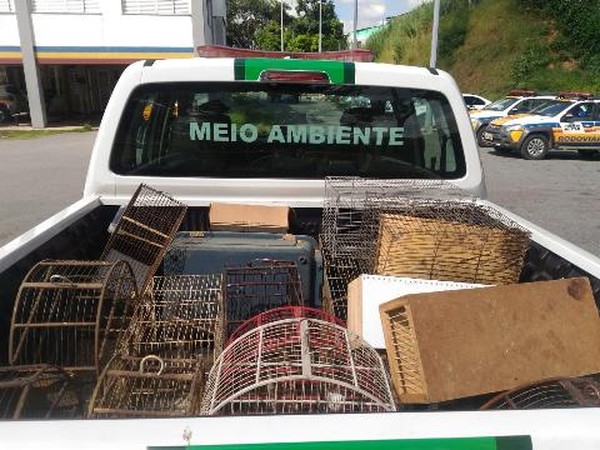 MPMG deflagra Operação ‘Libertas’ para combate ao tráfico de animais silvestres em Viçosa e diversas cidades do estado