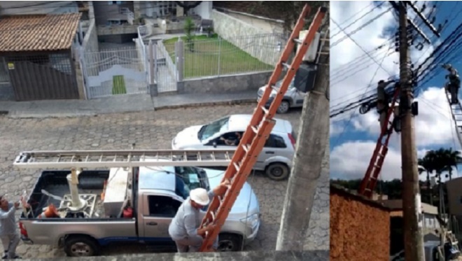 Empresa é autuada em R$ 5.381,82 por destruir ninho de pássaros da fauna silvestre em Viçosa e responderá por crime ambiental