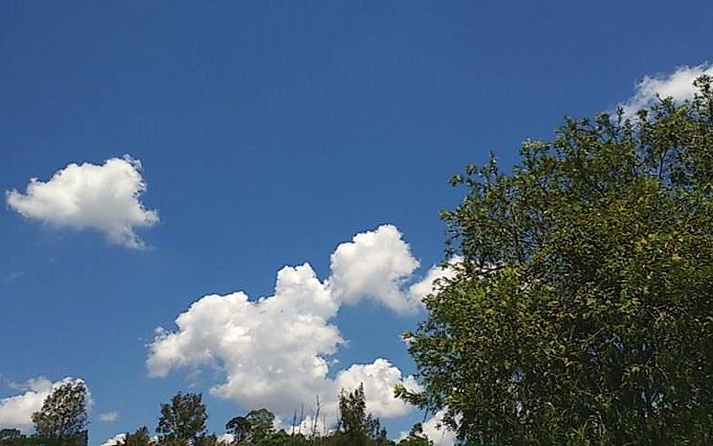 Massa de ar seco mantém tempo quente e seco durante a semana na Zona da Mata