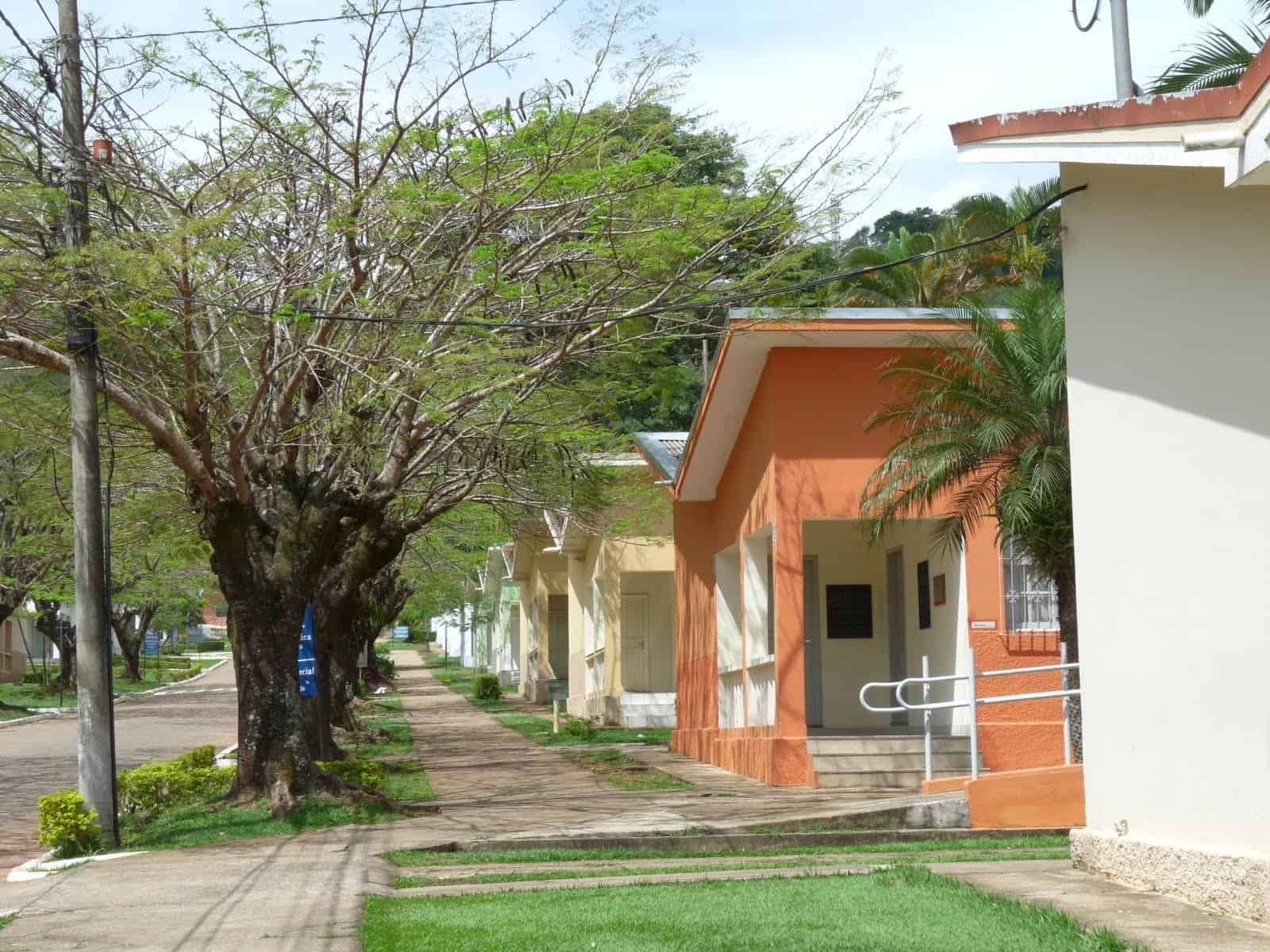 Primavera dos Museus da UFV conta com programação virtual