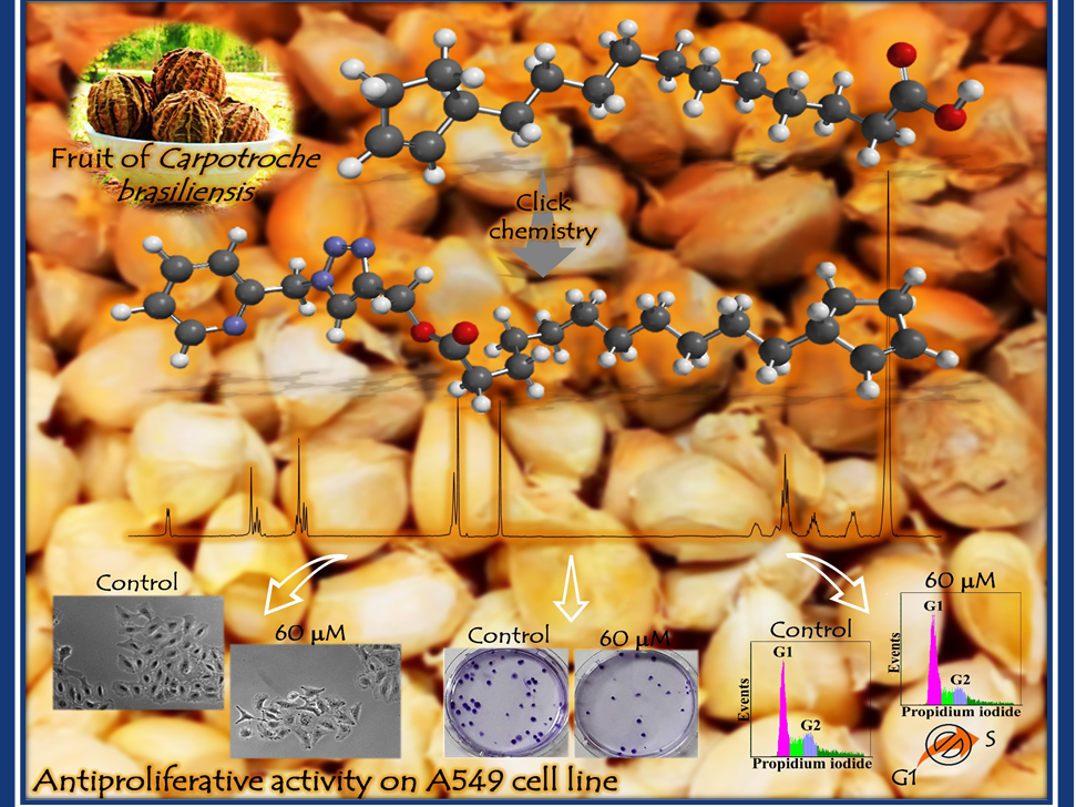 Trabalho de doutoranda da UFV é capa da revista mais importante da América Latina na área de Química