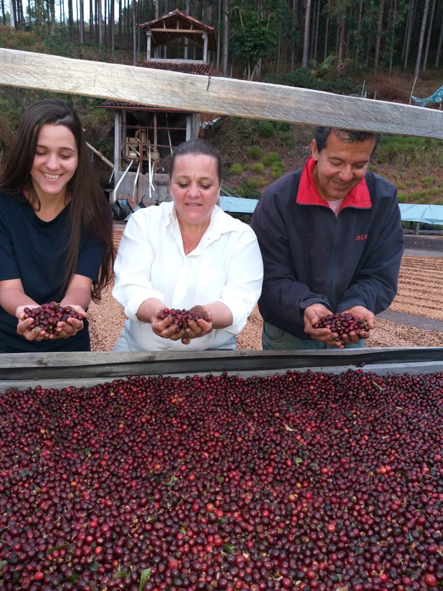 Café especial de Araponga (MG) vence concurso nacional NossoCafé