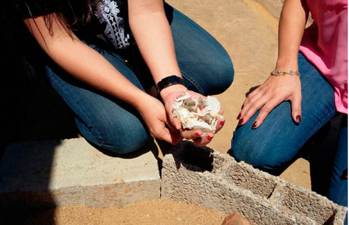 Homem que saiu há 10 dias do presídio é preso com drogas no Vale do Sol