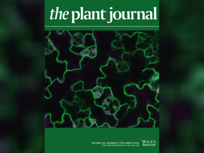 Artigo de doutorando da UFV é destaque em revista científica internacional