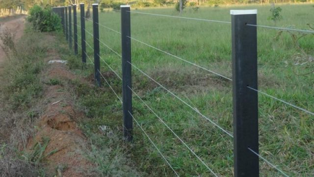 Cinco bandidos assaltam sítio no Córrego Boa Vista em Coimbra