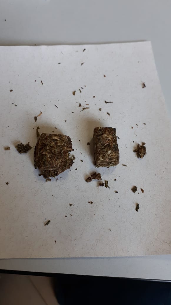 Maconha é apreendida no Presídio de Viçosa