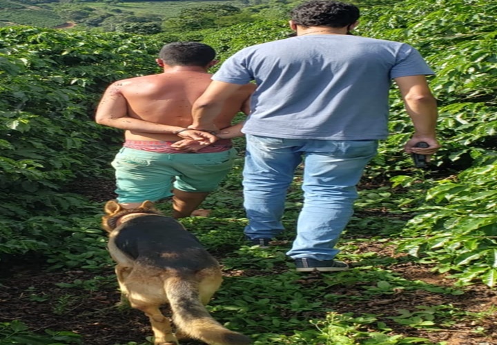 Polícia Civil prende em Viçosa autor de roubos a supermercados em Ervália