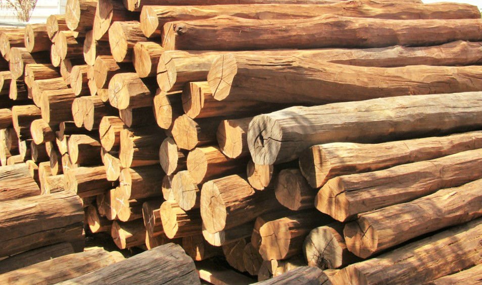 Sítio é furtado em Coimbra