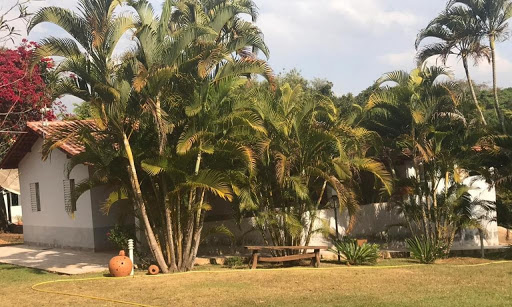 Sítio é assaltado na zona rural de Porto Firme