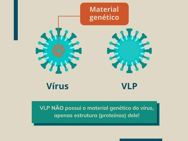 UFV está desenvolvendo três candidatos vacinais para a covid-19