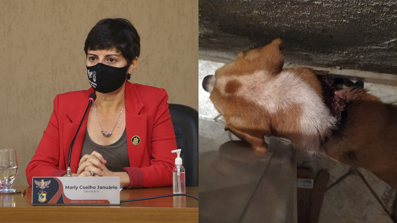 Vereadora questiona a falta de serviços públicos para os animais em Viçosa