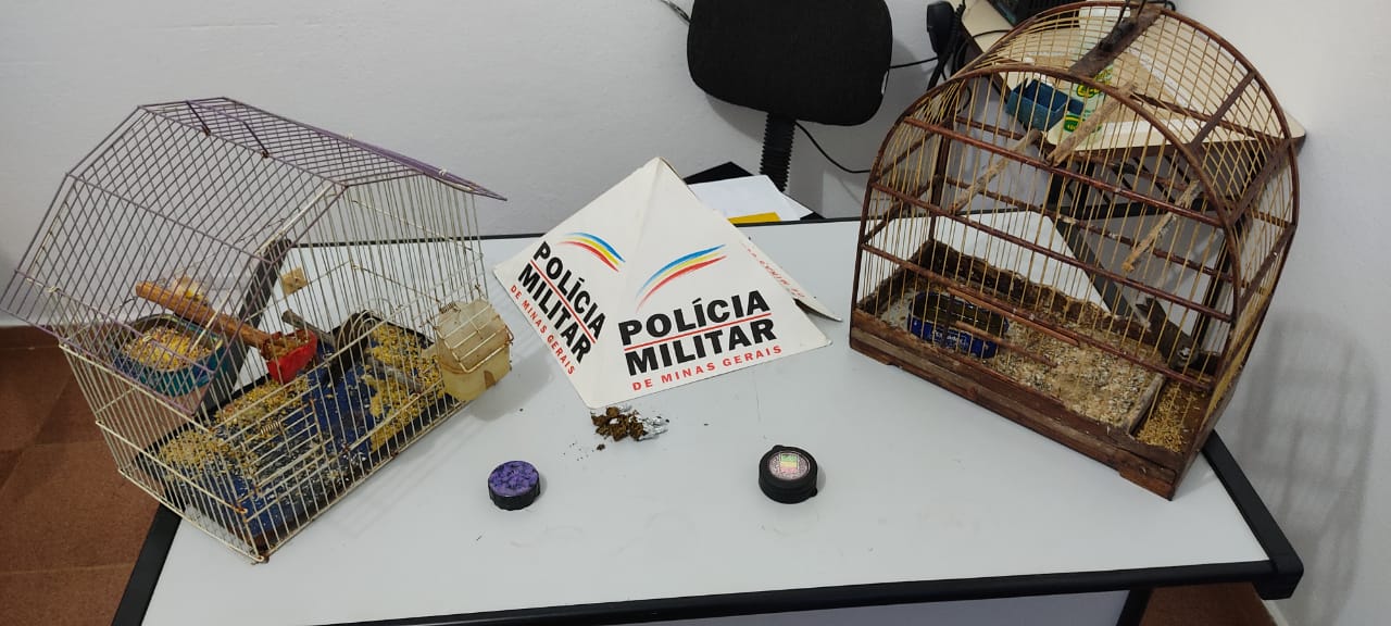 Apreensão de pássaros silvestres na zona rural de Araponga