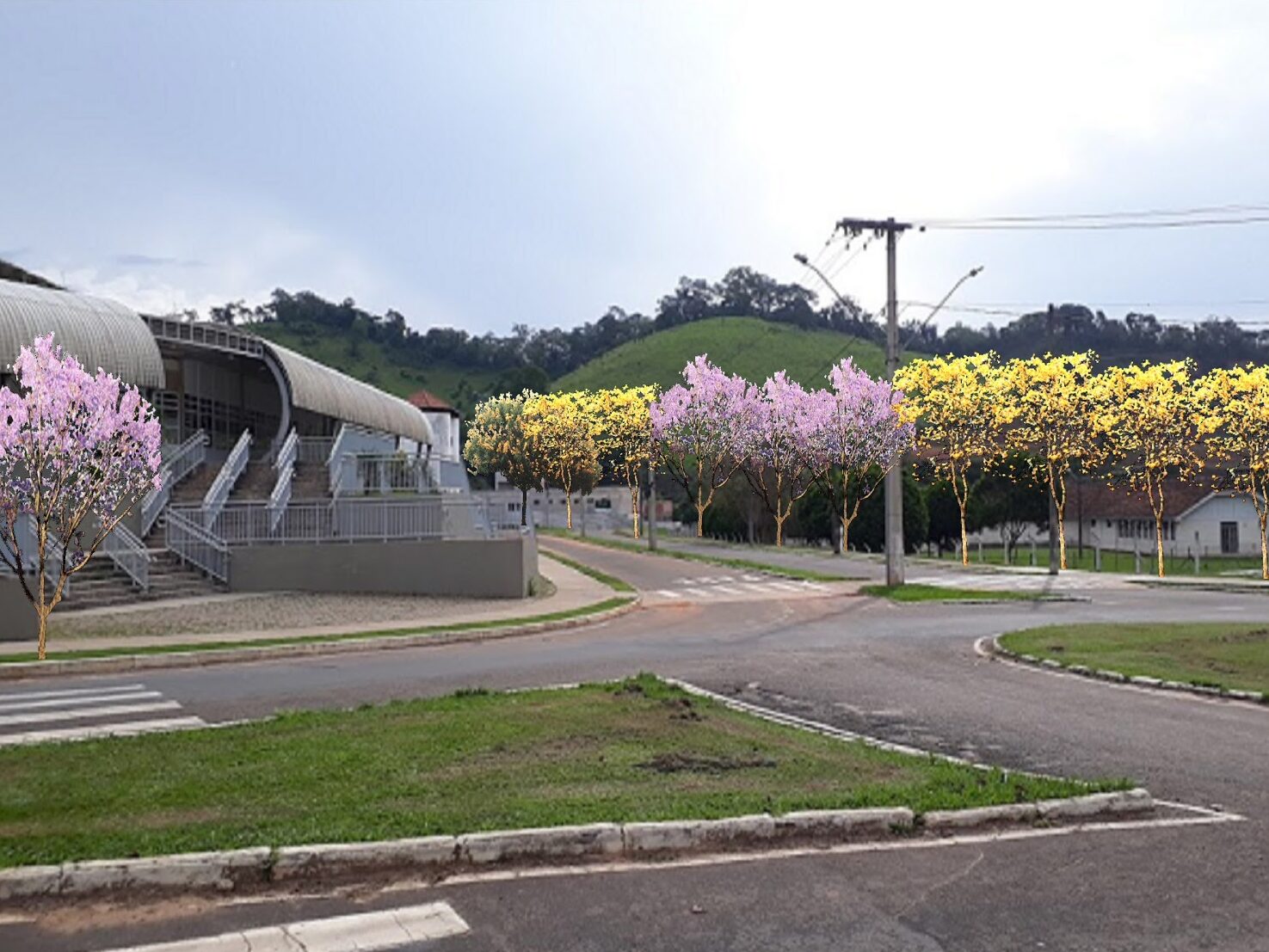 UFV inicia projeto de arborização no campus Viçosa
