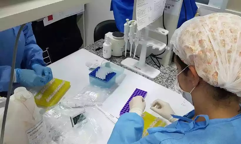 COVID-19: UFMG convocará 40 mil voluntários para testar vacina mineira