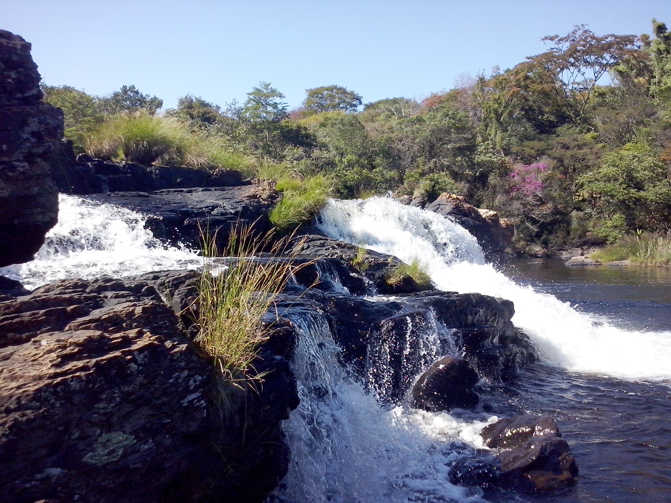 Produtores de MG são pagos para preservarem água em suas propriedades