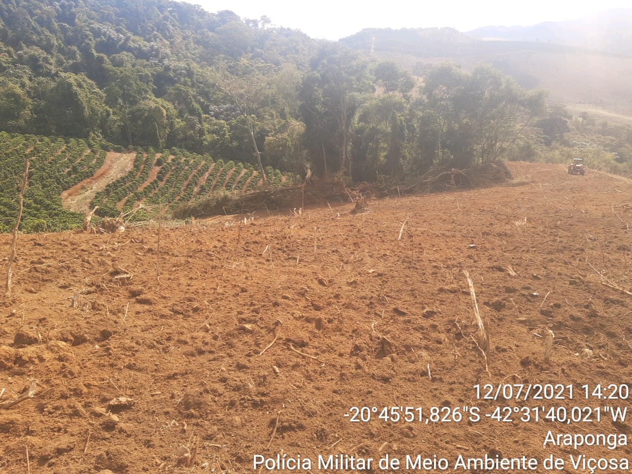Polícia Militar Ambiental impede desmatamento ilegal na zona rural de Araponga